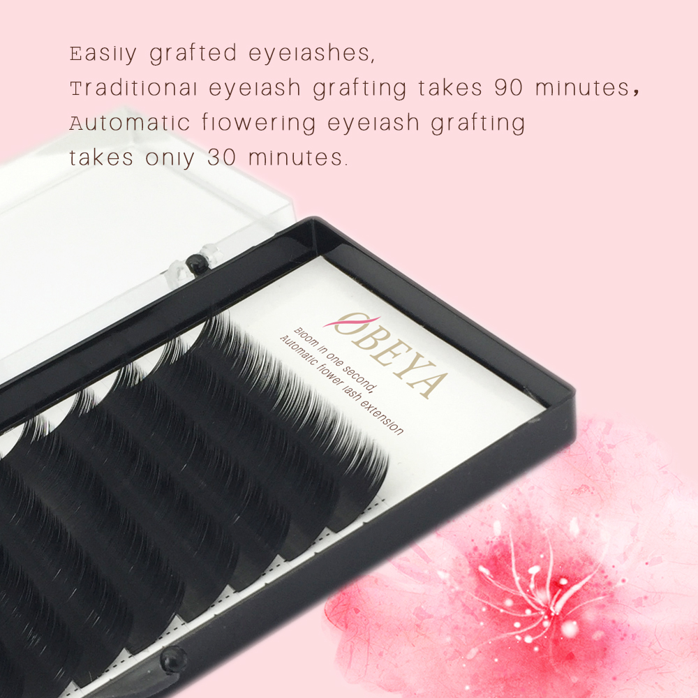 blossom eyelashes.jpg